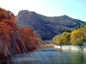 澳门天天免费精准大全，toshiba代理